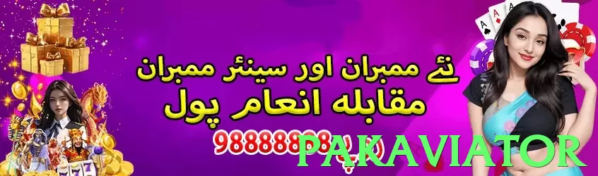 pakaviator Pakistan - 3