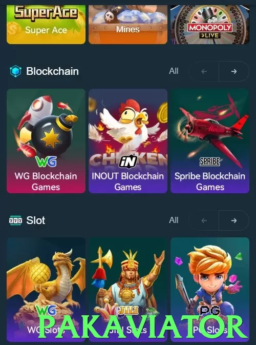 pakaviator Pakistan - 3